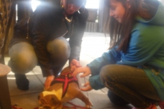 SAM_0727