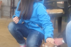 SAM_0737